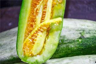 网红吃瓜王,揭秘娱乐圈幕后真相  第3张